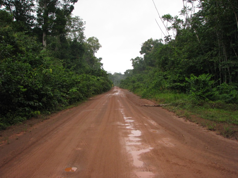 Iwokrama road